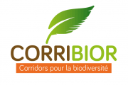 logo Corribior